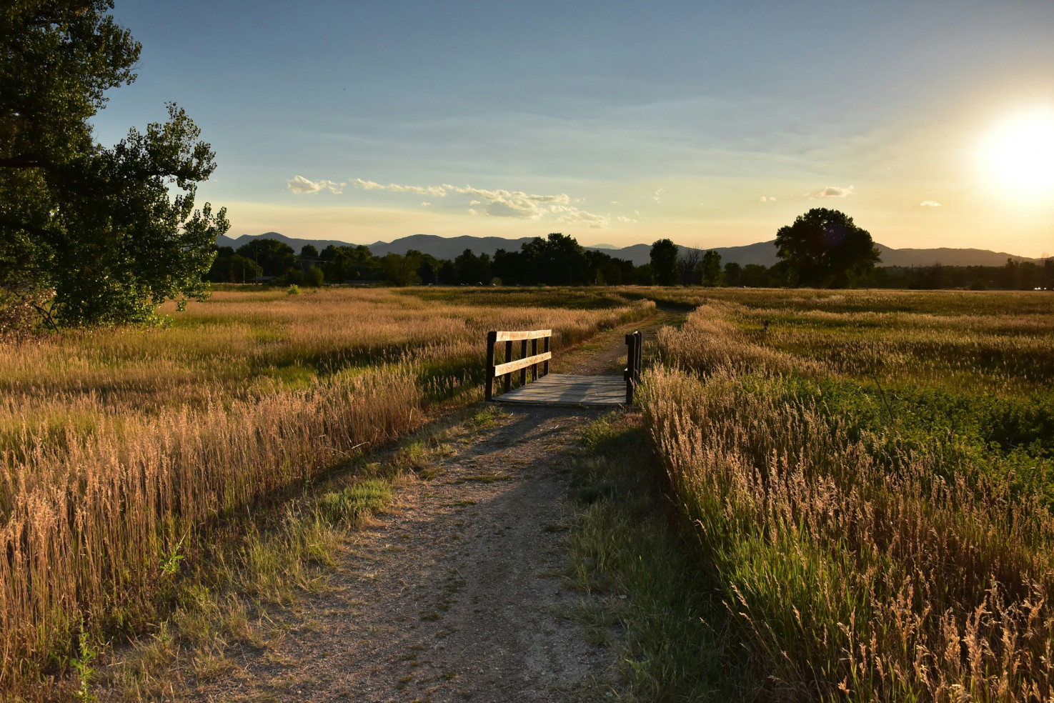 Sandiger Pfad durch eine weite Graslandschaft im warmen Gegenlicht als Symbol für den eigenen Weg und innere Orientierung