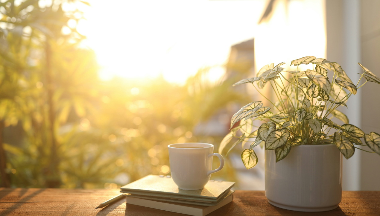 Tasse, Buch und Stift auf einem Schreibtisch mit Blick ins Grüne als Symbol für Ruhe, Selbstzuwendung und Innehalten